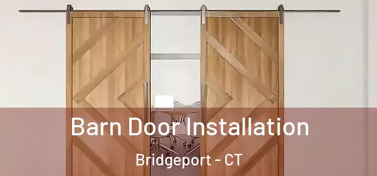  Barn Door Installation Bridgeport - CT