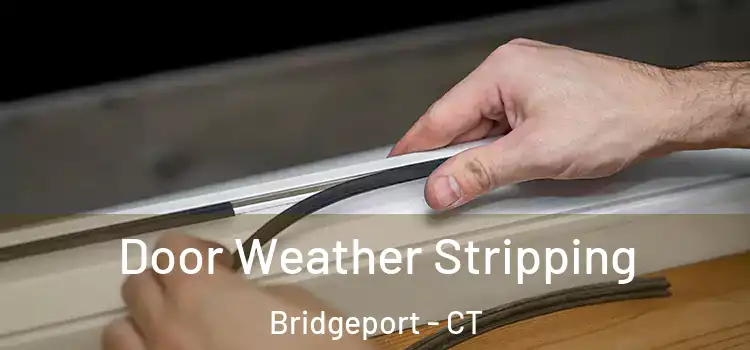  Door Weather Stripping Bridgeport - CT
