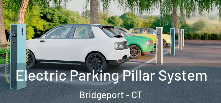  Electric Parking Pillar System Bridgeport - CT