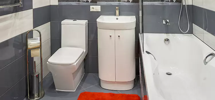 Hansgrohe Shaving Mirror Bridgeport
