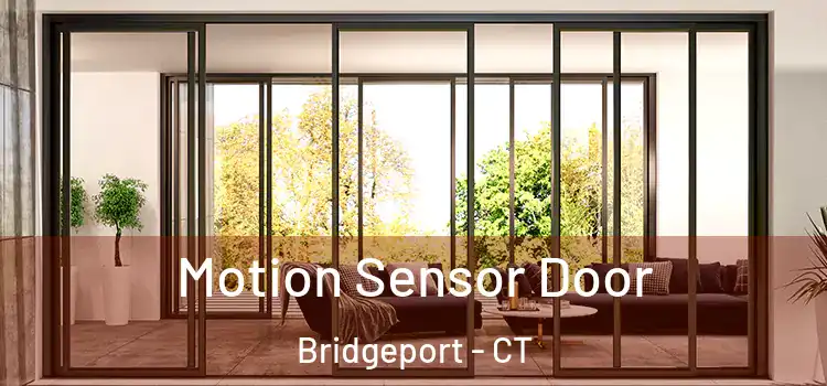  Motion Sensor Door Bridgeport - CT